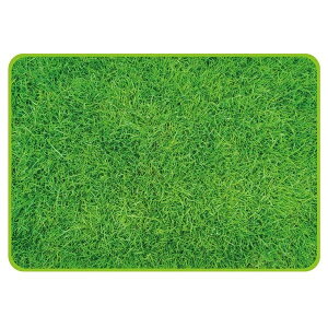 p[ sN`[W[V[g Ő 70×100cm D-2335 Be CX^ SNS f v ʝH |Cg X[p[SALE }\ 