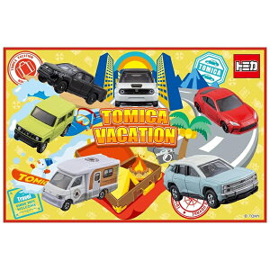 XP[^[ W[V[g g~J 24 STCY 60×90cm VS1 Skater |Cg X[p[SALE }\ 