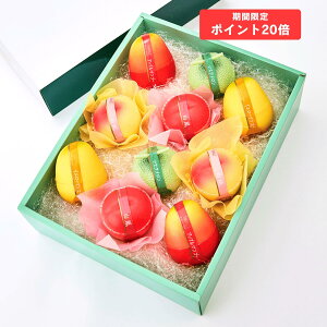  Vh ʎsA[[10bt[c[[ ʕ wj ʕ[[  Mtg j v[g ސE  XC[c  lߍ킹 Zbg yY  w 