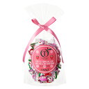 【公式】新宿高野 あまおう＆とちおとめ　チョコレート　SPリボン｜いちご 苺 個包装 プチギフト バレンタイン