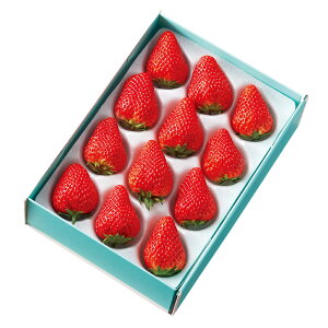  Vh Ε Mtg 蕨 t[c j a j  gقA #15202