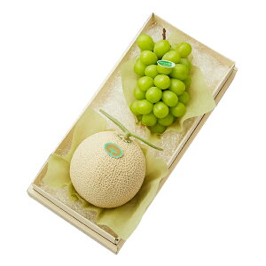  Vh Ε Mtg 蕨 t[c j a j  }XNVC}XJbg #29100