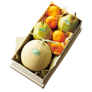  Vh Ε Mtg 蕨 t[c j a j  }XNEtXZbg #11242