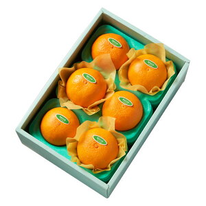  Vh Ε Mtg 蕨 t[c j a j  g܂ǂ6 #29100