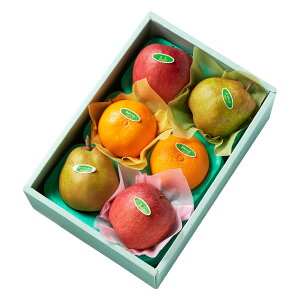  Vh Ε Mtg 蕨 t[c j a j  g܂ǂȁ{ʃgIB #29100