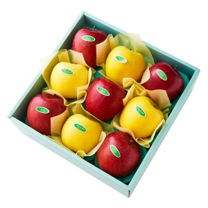  Vh Ε Mtg 蕨 t[c j a j  ӂVimS[hB #29100