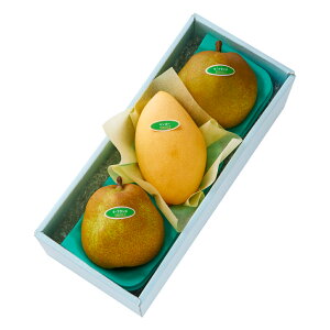  Vh Ε Mtg 蕨 t[c m }S[ miV j a j  EtX{C #29100