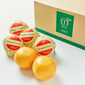  Vh Day Fruit fCt[c O[vt[cA #29100bp  Mtg ʕ j zj Vzj JXj  t[c j  k oYj