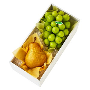  Vh Ε Mtg 蕨 t[c j a j  m{A #29100