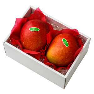  Vh Ε Mtg 蕨 t[c j a j  }S[2 #29100