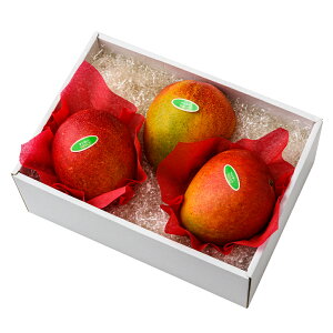  Vh Ε Mtg 蕨 t[c j a j  }S[3 #29100