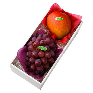  Vh Ε Mtg 蕨 t[c Ԃǂ uhE j a j  }S[{A #29100