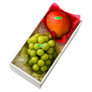  Vh Ε Mtg 蕨 t[c VC}XJbg j a j  }S[{B #29100