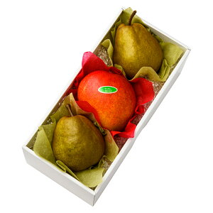  Vh Ε Mtg 蕨 t[c m miV j a j  }S[{C #29100