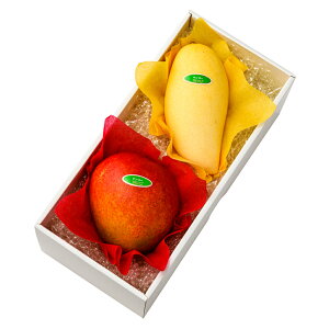  Vh Ε Mtg 蕨 t[c j a j  }S[{D #29100