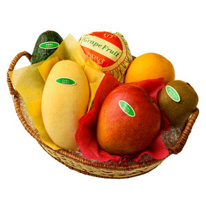  Vh Ε Mtg 蕨 t[c j a j  oXPbg  }S[oGeB[A #29100