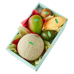  Vh Ε Mtg 蕨 t[c j a j  ~G/bh{G #29100