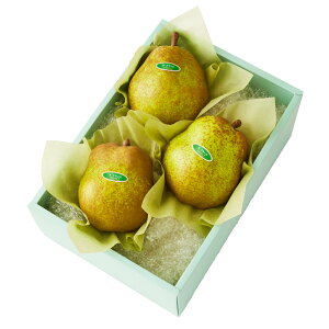  Vh Ε Mtg 蕨 t[c j a j  ʃEtX3 #29100