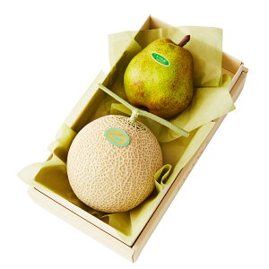  Vh Ε Mtg 蕨 t[c j a j  }XNʃEtXA #29100