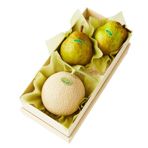  Vh Ε Mtg 蕨 t[c j a j  }XNʃEtXB #29100