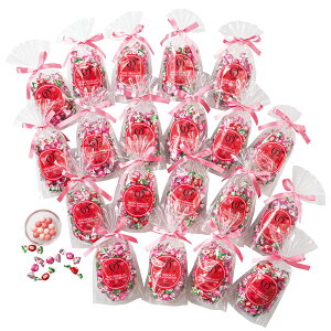  Vh VFA܂ƂƂ߃`R[gSP20is[`bsOܕtj