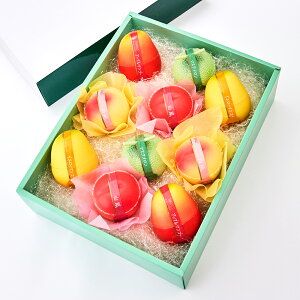  Vh ʎsA[[10bt[c[[ ʕ wj ʕ[[  Mtg j v[g ސE  XC[c  lߍ킹 Zbg yY  w 