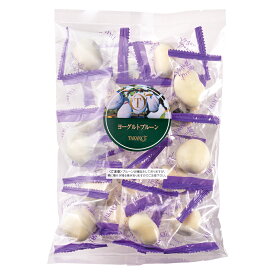 公式 新宿高野 ヨーグルトプルーン徳用袋 ｜ギフト お取り寄せスイーツ お菓子 洋菓子 個包装 プチギフト プレゼント 高野フルーツ 大量 ばらまき スイーツ お取り寄せ お配り 卒業 入学 ホワイトデー ご褒美 自分用 バレンタイン
