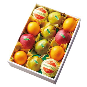  Vh Ε Mtg 蕨 t[c j a j  t[cJebgB #23047