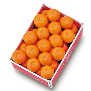  Vh Ε Mtg 蕨 t[c j a j  Nu݂A #12003