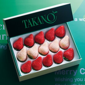 公式 新宿高野 お歳暮 ギフト 贈り物 フルーツ 内祝い 誕生日 お祝い 御礼 クリスマス苺 紅白セット #94993