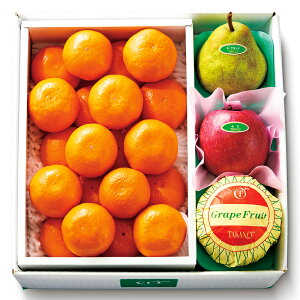  Vh Ε Mtg 蕨 t[c j a j  ݂񁕏{ #53471