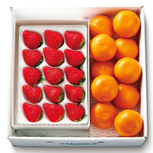  Vh Ε Mtg 蕨 t[c j a j  Xgx[݂ #51354