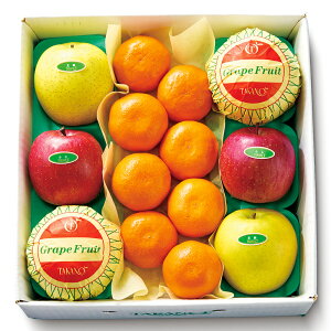  Vh Ε Mtg 蕨 t[c j a j  EC^[t[cC #53372