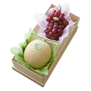  Vh Ε Mtg 蕨 t[c j a j  }XNԂǂ #29100