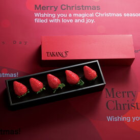 公式 新宿高野 お歳暮 ギフト 贈り物 フルーツ 内祝い 誕生日 お祝い 御礼 クリスマスストロベリーA #94887
