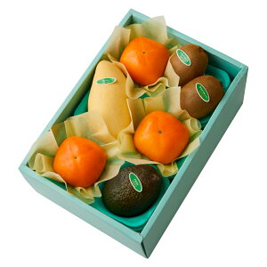  Vh Ε Mtg 蕨 t[c j a j  `{G #29100