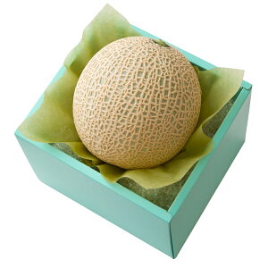  Vh Ε Mtg 蕨 t[c j a j  1 #29100