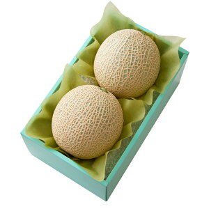  Vh Ε Mtg 蕨 t[c j a j  2 #29100