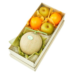  Vh Ε Mtg 蕨 t[c j a j  }XN{L #29100