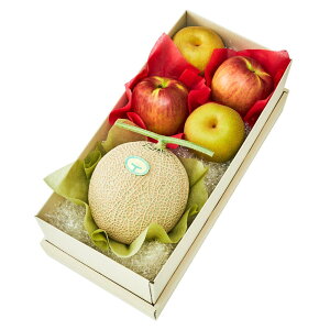  Vh Ε Mtg 蕨 t[c j a j  }XN{M #29100