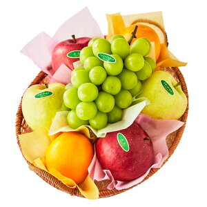  Vh Ε Mtg 蕨 t[c VC}XJbg  j a j  t[coGeB[DA2 #29100