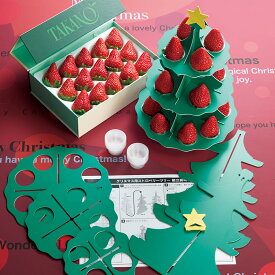 公式 新宿高野 お歳暮 ギフト 贈り物 フルーツ 内祝い 誕生日 お祝い 御礼 クリスマスストロベリーツリー #94658