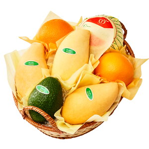  Vh Ε Mtg 蕨 t[c j a j  ^C}S[oGeB[B #29100