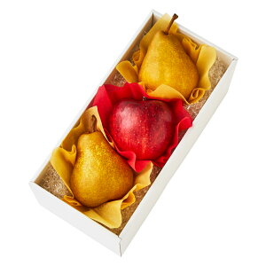  Vh Ε Mtg 蕨 t[c j a j  m{B #29100