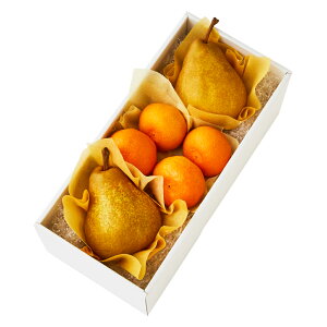  Vh Ε Mtg 蕨 t[c j a j  m{C #29100