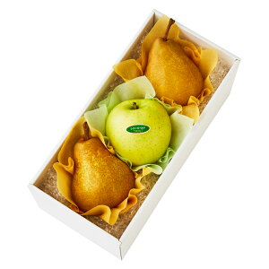  Vh Ε Mtg 蕨 t[c j a j  m{F #29100