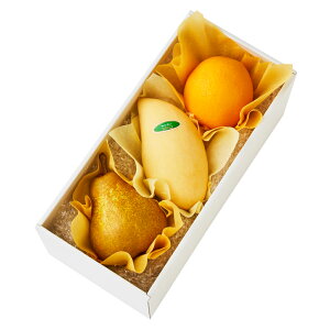  Vh Ε Mtg 蕨 t[c j a j  m{J #29100