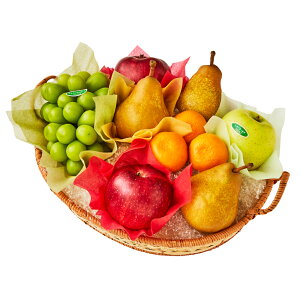  Vh Ε Mtg 蕨 t[c j a j  moGeB[C #29100