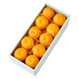  Vh Ε Mtg 蕨 t[c j a j  HȂ݂B #29100