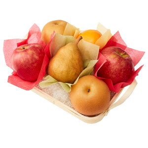 公式 新宿高野 秋果実バラエティーA #29100